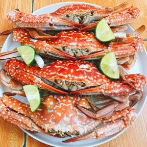 ghẹ xanh sống